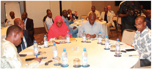 CAISFF Image Description